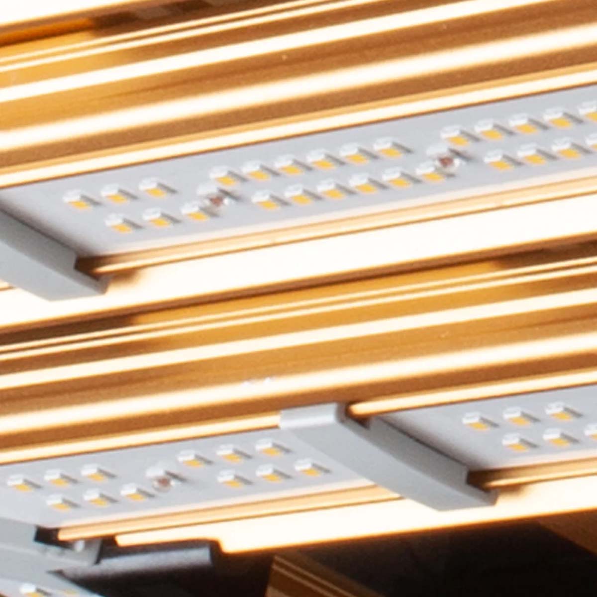 Omega Infinity 300W PRO LED Vekstlys – Fullspektrum