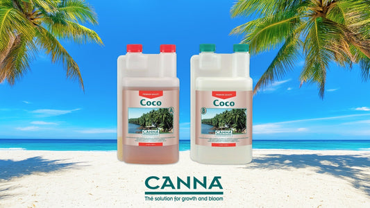 Din Ultimate Guide til CANNA Coco A+B