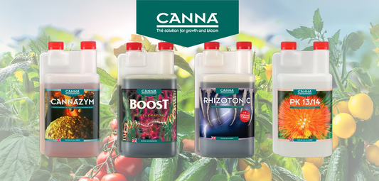 Ta Dyrkingen til Neste Nivå med CANNA Boost, Rhizo, Zym og PK