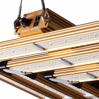 Omega Infinity 300W PRO LED Vekstlys – Fullspektrum