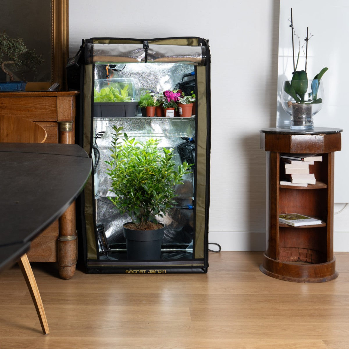 Dyrkepakke 40x60x116 "The Original 60" Secret Jardin